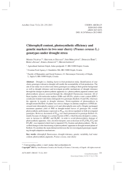 Chlorophyll content, photosynthetic efficiency and genetic markers