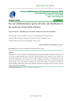 Sea star (Echinodermata) species diversity and distribution in the