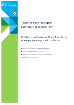 Corporate Business Plan 2015