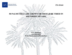50 Palms That are Grown or Should be Tried in Southern Nevada