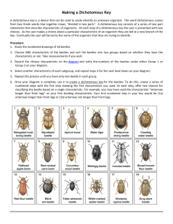 Making a Dichotomous Key