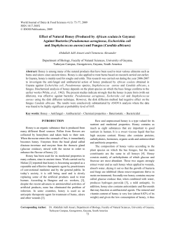 Effect of Natural Honey (Produced by African sculata in Guyana