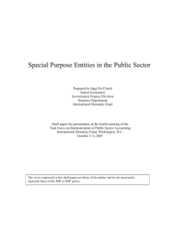 Special Purpose Entities in the Public Sector