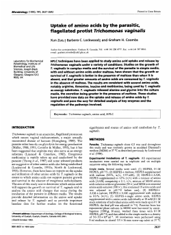 Uptake of amino acids by the parasitic, flagellated protist