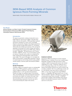 SEM-Based WDS Analysis of Common Igneous Rock