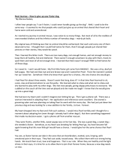 Next Journey – How to give up your foster dog. ~By Monica Kaskey I