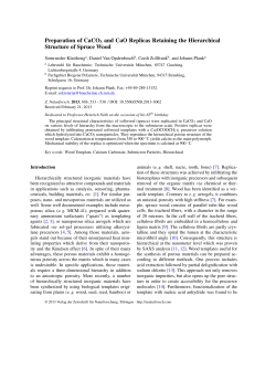 Preparation of CaCO3 and CaO Replicas Retaining the Hierarchical