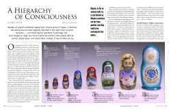 Stephen Kiesling, The Hierarchy of Consciousness