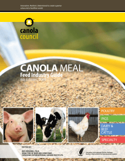 canola meal - Canadian International Grains Institute