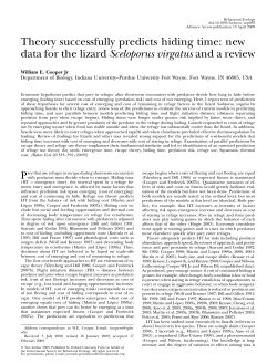 Theory successfully predicts hiding time: new data for the lizard