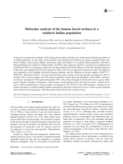 Molecular analysis of the human faecal archaea in a southern Indian