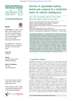 Overview of organohalide-respiring bacteria and a proposal for a