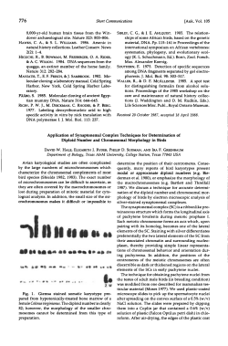 Application of Synaptonemal Complex Techniques for