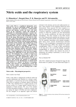Nitric oxide and the respiratory system