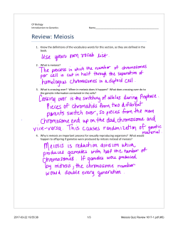 Meiosis review key