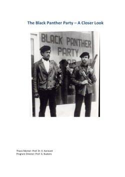 The Black Panther Party &ndash; A Closer Look