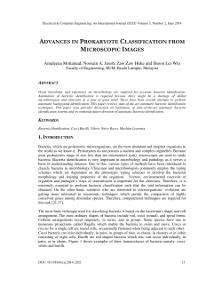 ADVANCES IN PROKARYOTE CLASSIFICATION FROM