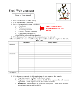Food Web worksheet