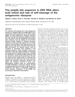 The poly(A) site sequence in HDV RNA alters both extent and rate of