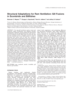 Structural adaptations for ram ventilation