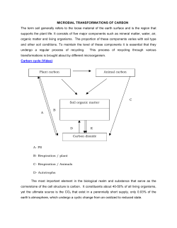 MICROBIAL TRANSFORMATIONS OF CARBON The term soil