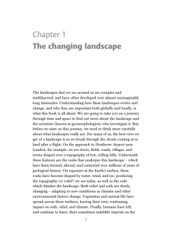 Chapter 1 The changing landscape - Beck-Shop