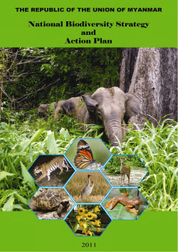National Biodiversity Strategy and Action Plan