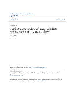 An Analysis of Perceptual Effects Representations in "The Truman