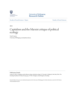 Capitalism and the Marxist critique of political