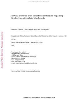 STAG2 promotes error correction in mitosis by regulating