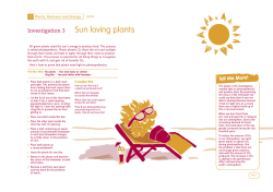 Sun loving plants