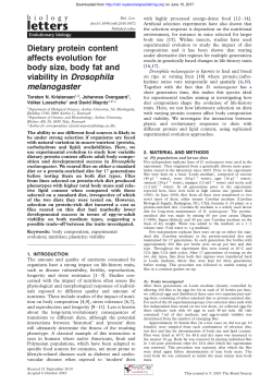 Dietary protein content affects evolution for body size, body fat and