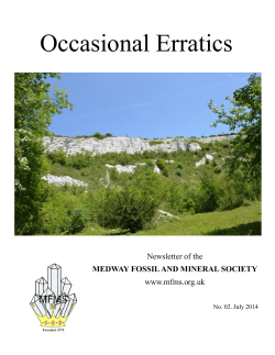Occasional Erratics