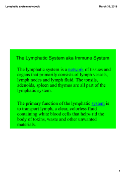 Lymphatic system.notebook