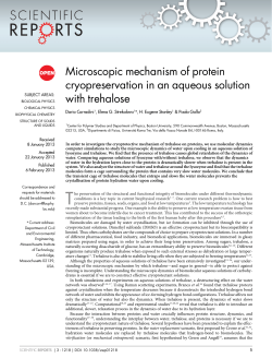 Microscopic mechanism of protein cryopreservation in