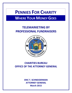Pennies for Charity report