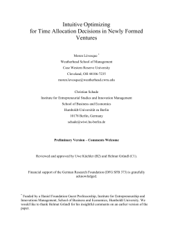 Intuitive Optimizing for Time Allocation Decisions in Newly Formed