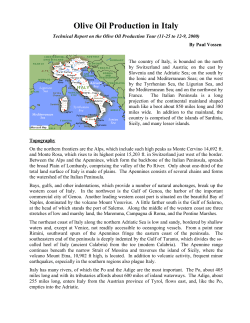 Olive Oil Production in Italy
