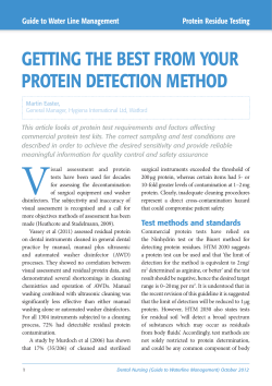 getting the best from your protein detection method