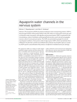 the role of aquaporins in brain oedema and cell migration