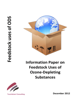 Information Paper on Feedstock Uses of Ozone