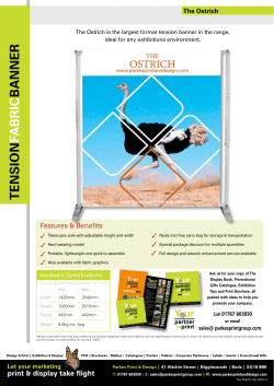 The Ostrich - Parkes Print and Design