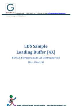 LDS Sample Loading Buffer [4X] - G