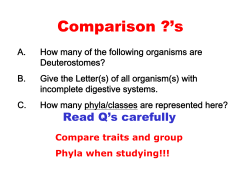 Comparison ?`s