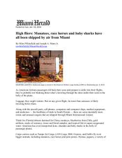 High fliers: Manatees, race horses and baby sharks have all been