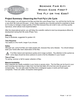 Project Summary: Observing the Fruit Fly`s Life
