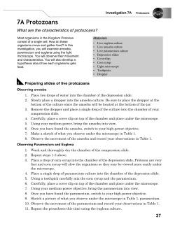 7A Protozoans - cloudfront.net