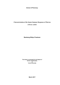 Prastowo 2017 - espace@Curtin