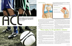 PDF &ndash; - Lindsay Berra
