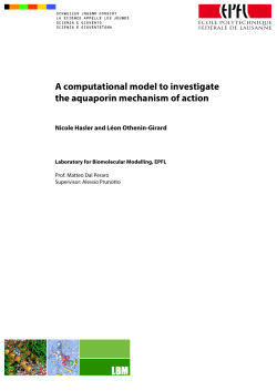A computational model to investigate the aquaporin mechanism of
